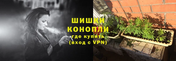 прущие крисы Арсеньев