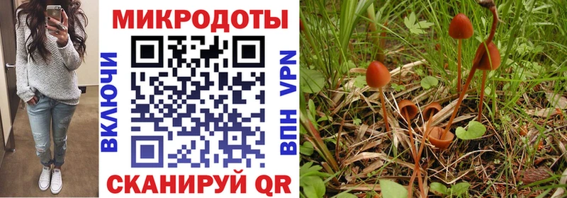 Галлюциногенные грибы Cubensis мега рабочий сайт Усолье-Сибирское купить наркотики сайты